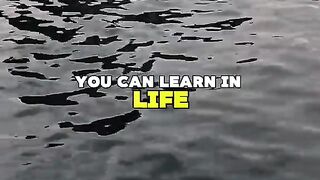 A basic step to Self Improvement is Keeping yourself*Calm*