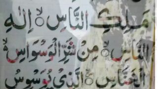 Surat ulnas