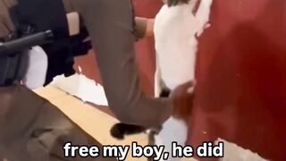 أطعم قططك قبل التعامل مع الأسماك لتقليل اهتمامها.