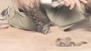 Horrific scene 5