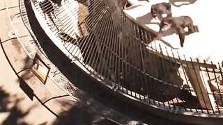 Horrific scene 7
