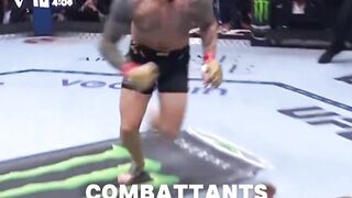 Amazing fight
