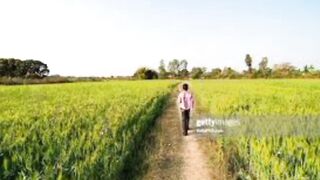 ईमानदार लडके की कहानी हिन्दी में