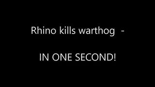 Dangerous Rhino