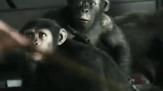 Watch the best videos
