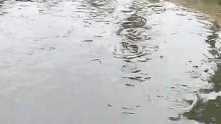 Pinggirnya BETON tapi bawahnya TANAH itu masih disebut kolam TANAH