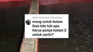 Kalau mau serius belajar budidaya lele, jangan membuat 1 kolam