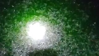 Usaha budidaya lele yang paling santai ya pembenihan lele