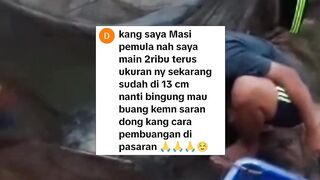 Pemasaran ikan lele konsumsi itu sulit bagi yang malas, Mudah bagi yang giat