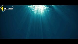 A Big Lost Sub With 80 Sailors Found With Mysterious Message Inside