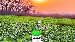 What Happened If Oxygen should be blocked for 5 seconds only