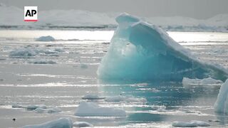 Mixed reactions in Greenland after Trump vows to acquire the territory.