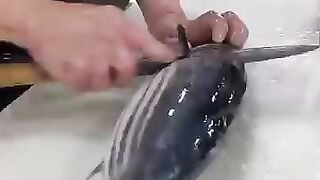surmai king fish cutting skills#shorts #2025 #bigfish