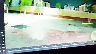 ATAQUES.TIPO COMANDO#sorpresa#viral