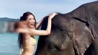 gajah dan wanita
