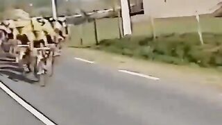 This horse waited his whole life for this moment