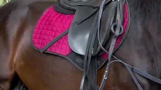 only held by this woman, see what happens to the horse who is immediately lustful