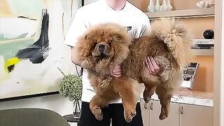 Holding Bigger And Bigger Dog4