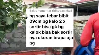 Hanya 2 kali sortir selama budidaya, ini bak sortir yang digunakan