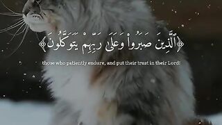 Ramadan, a month of peace ????️