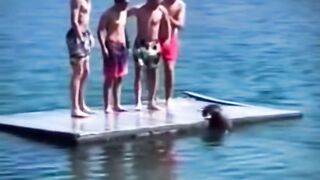 La NUTRIA solo quería jugar