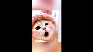 AI - APT Kitten