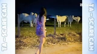 Scare Cam Pranks 2025 | Funny Scare Prank | Jump Scare | Funny Compilation |Funny Fail