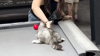 مغذيات الألغاز لتنشيط عقولهم