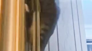 مكافآت من حين لآخر باعتدال
