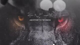 sher ( Ban pathr)