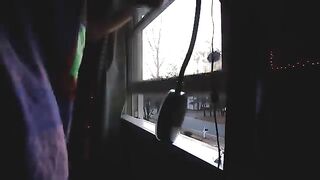 A day in the life at American public school