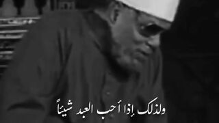 Words that soothe your heart before bedtime from Sheikh Al-Shaarawy