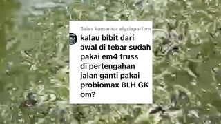 Kalau diawal menggunakan Em4, lalu dipertengahan ganti dengan Probiomax BISA atau TIDAK