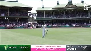 Cricket Sports Entertainment