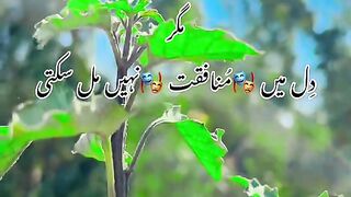 Zafranalishah