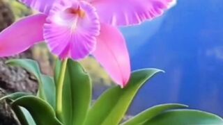 Beautiful nature