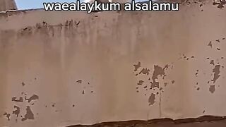 cat speak