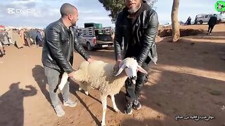 سوق الجمعه اولاد يعيش