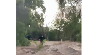 Personascaidas#viral#viral