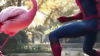 Spiderman x flamingo tranformation by ai