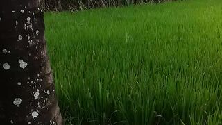 Diperjalanan pulang dari kerja berhanti sejenak sambil melihat pemandangan alam yang indah dan sejuk
