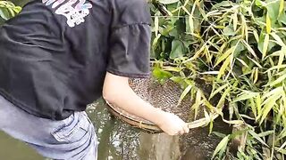 Cari ikan