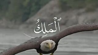 2232265783827290