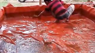 Proses pergantian air kolam bibit lele sekaligus sipon dinding dan dasar kolam
