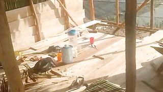 Proses pembuatan saung tempat ABK penjaga kolam, manjakan pekerja agar kerjanya serius