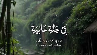 Alquran recitation ????