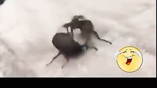 ماحدا مرتاح