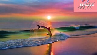 Sunset over ocean