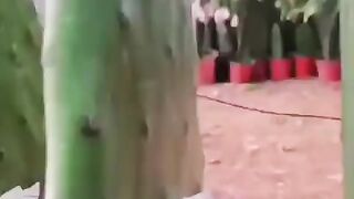 أحمر الشفاه
