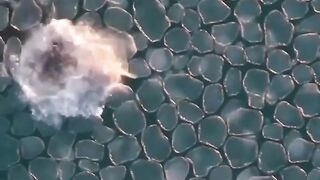 Ice pancakes formed in Chukotka - snow, wind and a weak current are needed for their appearance.